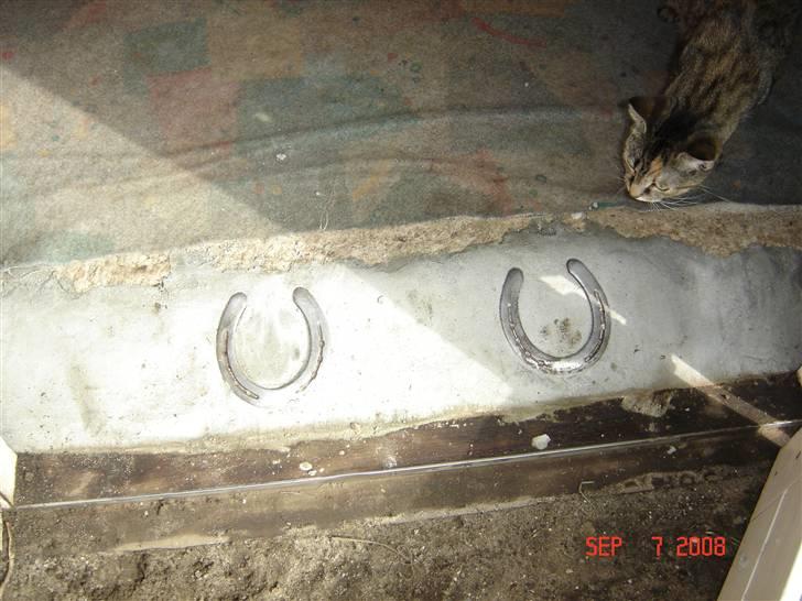 Hvad kan man bruge gamle hestesko til??? - Der er en lille hældning på og det er lavest ved døren og højest inde i stuen billede 2