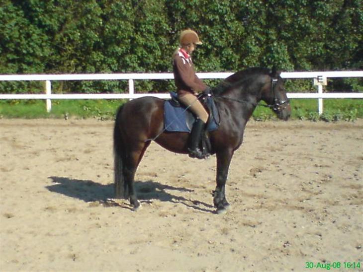 {{currentPhoto.altText}} billede {{currentPhoto.number}}