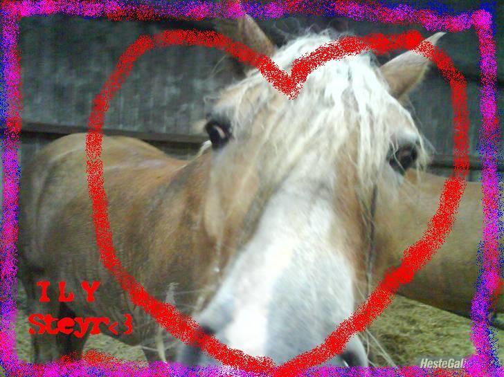 Søde billeder! - Her er det.. jeg laver det om hvis det ikke er tilfredsstillende.. billede 1