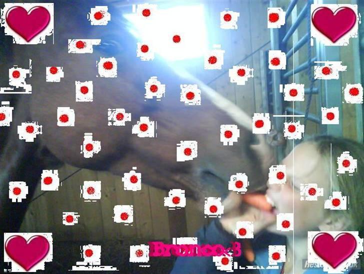 Søde billeder! - Her er det.. synes selv det er flot.. men håber du er tilfreds.. billede 2