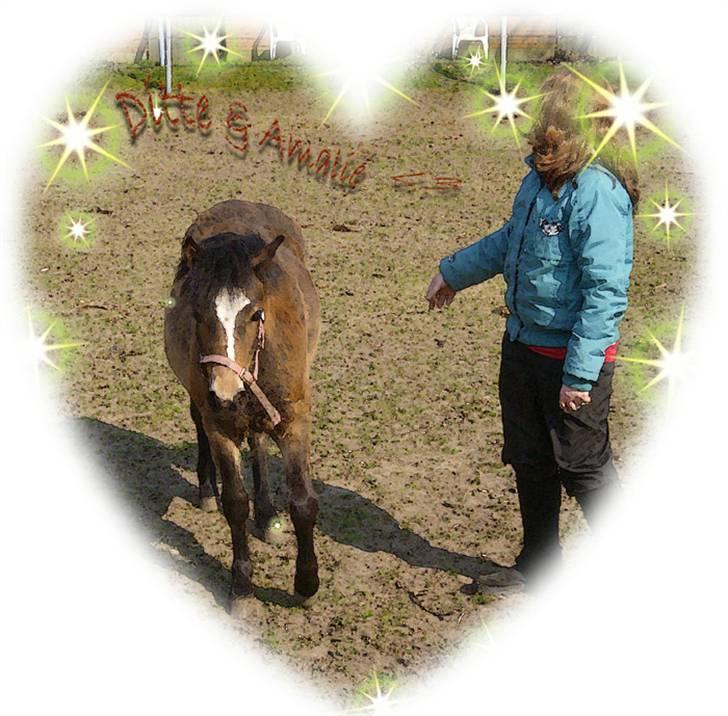 Tegninger og billeder jeg har leget lidt med... - Afrodite og Amalie. billede 3