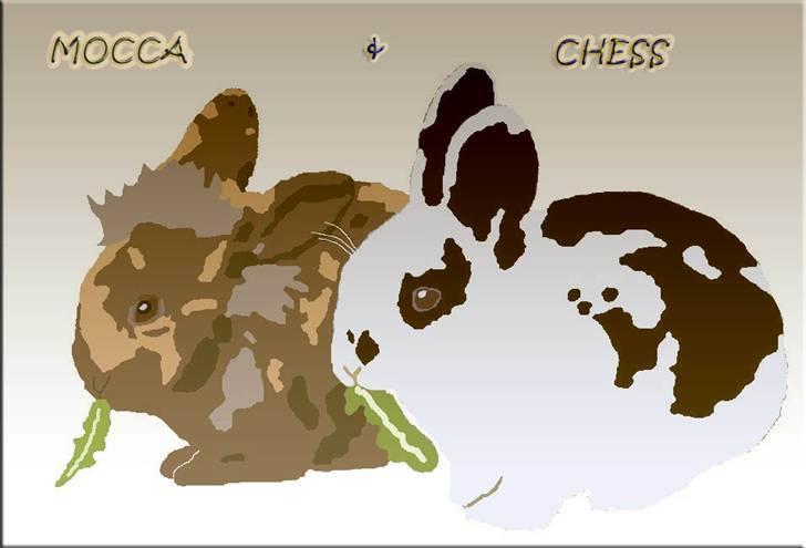 Tegninger og billeder jeg har leget lidt med... - To af mine kaniner tegnet i paint. billede 5