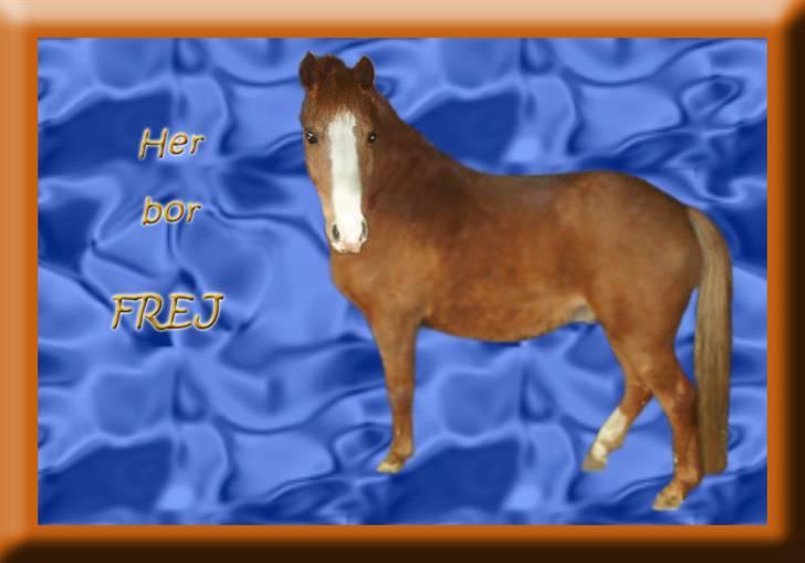 Tegninger og billeder jeg har leget lidt med... - Og et boksskilt til min kollegas datter som har en pony  :) billede 7