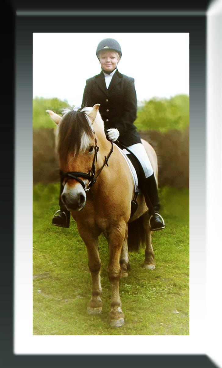 Tegninger og billeder jeg har leget lidt med... - Min gamle pony Lasse Halsnæs, og hans nye ejer til stævne. billede 9