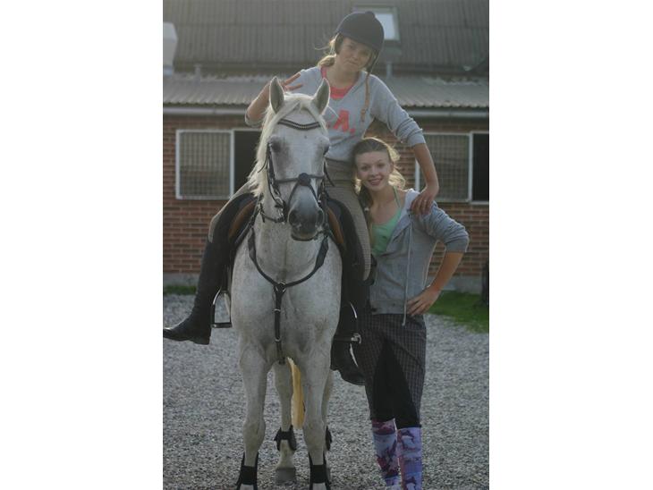 {{currentPhoto.altText}} billede {{currentPhoto.number}}