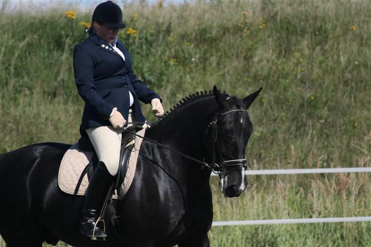 Skak hauge af dybendal billede 1