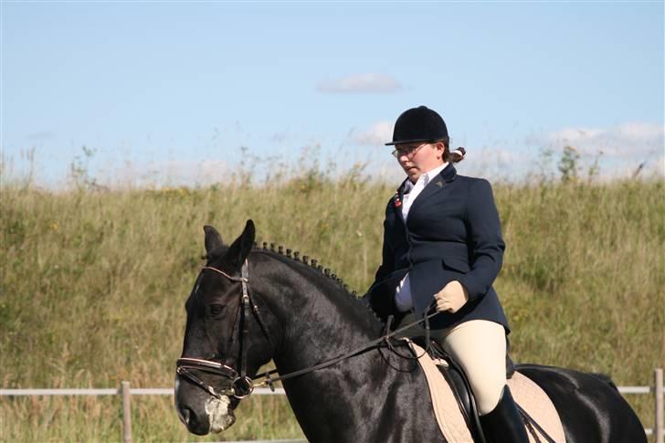 Skak hauge af dybendal billede 2