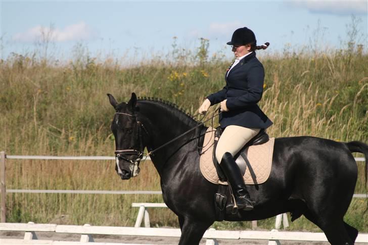 Skak hauge af dybendal billede 3