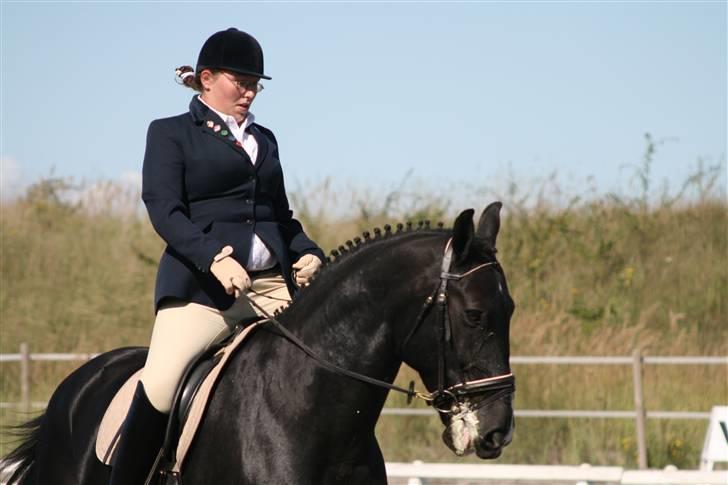 Skak hauge af dybendal billede 4