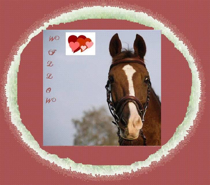 Søde billeder! - Værsgo! det flotteste jeeg nogensinde har alvet.. skriv hvis du synes jeg skal lave en med Kartailee lea navnet eller hvordan man nu staver det.. billede 3