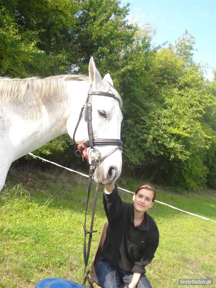 Hestene på Bisnapgård Efterskole <3 - Ferrari billede 5
