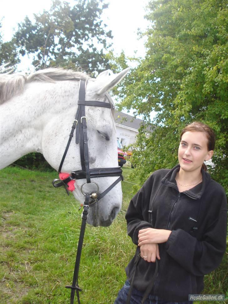 Hestene på Bisnapgård Efterskole <3 - Maja & Ferrari billede 12