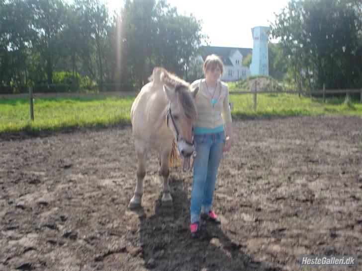 Hestene på Bisnapgård Efterskole <3 - Michelle & Tanja billede 15