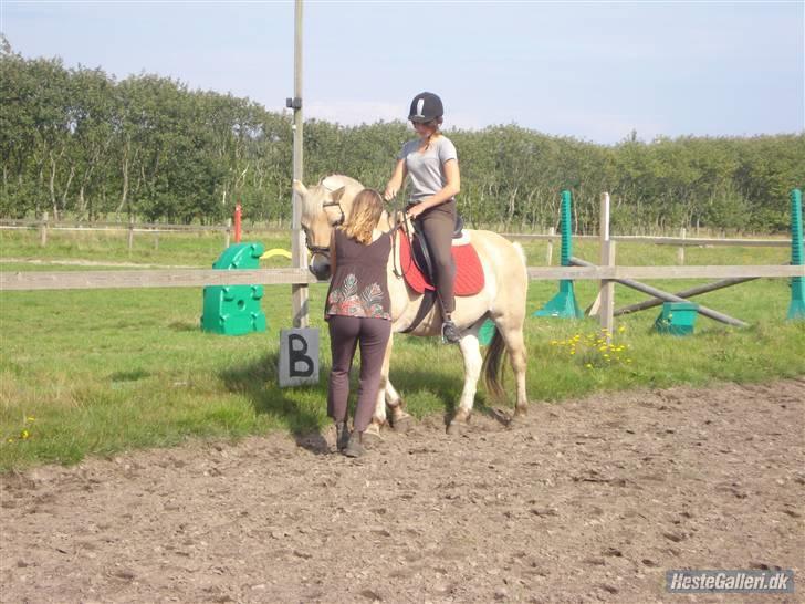 Hestene på Bisnapgård Efterskole <3 - Kamille, Coco og vores dressurridelære Majbritt billede 16