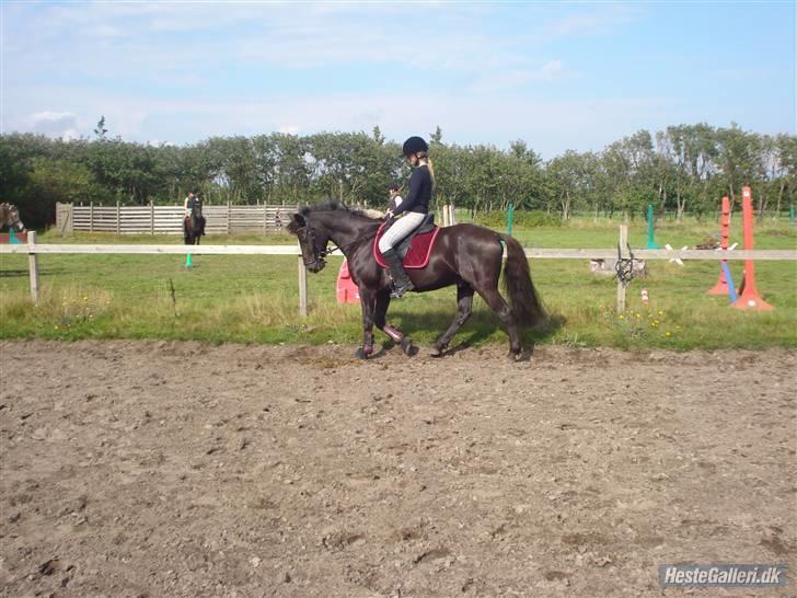 Hestene på Bisnapgård Efterskole <3 - Jeanette & Sirocco billede 18
