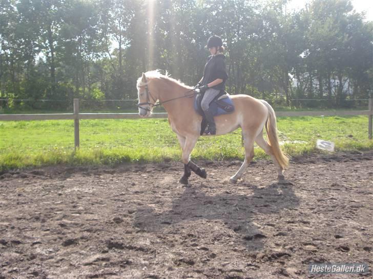 Hestene på Bisnapgård Efterskole <3 - Heidi & Tara billede 21