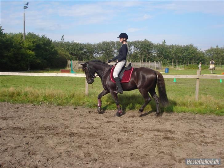 Hestene på Bisnapgård Efterskole <3 - Jeanette & Sirocco billede 22