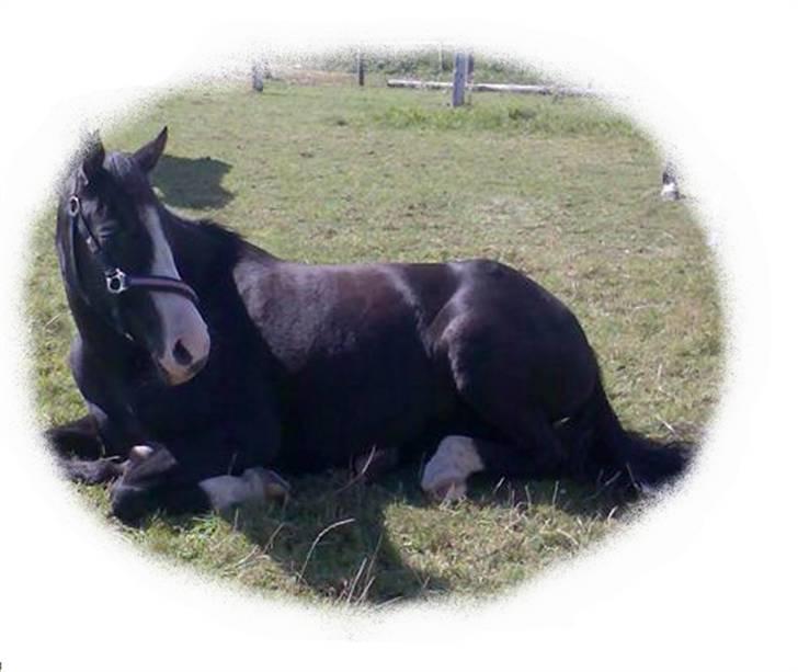 Søde billeder! - Her.. de er ikk helt runde men de kan ikkke blive bedre.. billede 6