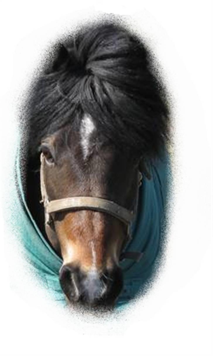 Søde billeder! - Her.. de er ikk helt runde men de kan ikkke blive bedre.. billede 9