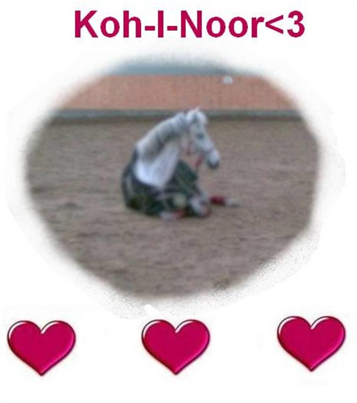 Søde billeder! - Værsgod.. du fik lidt din vilje!! billede 11