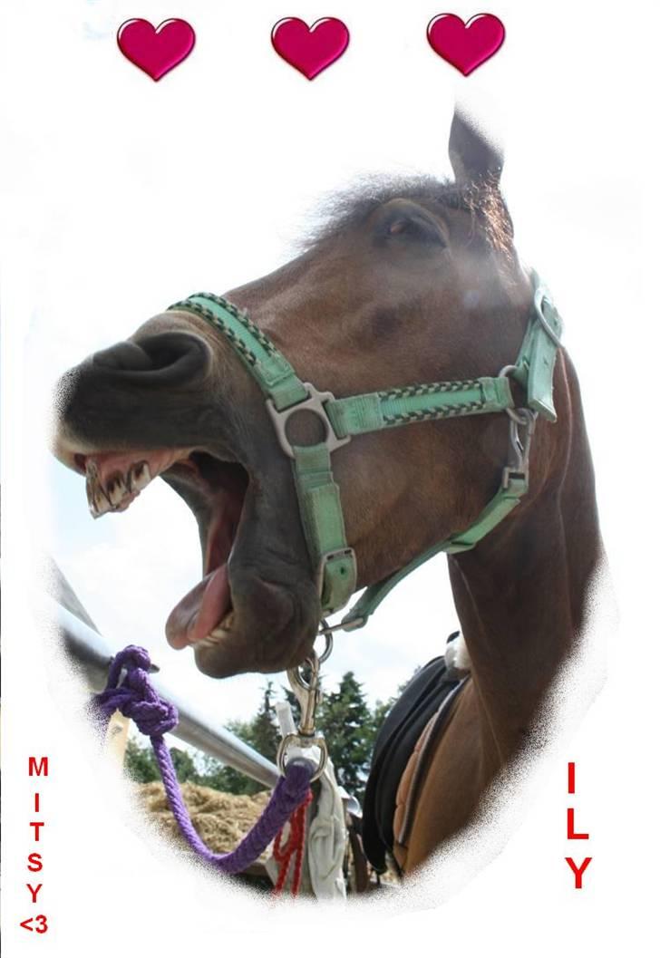 Søde billeder! - Værsgod.. du fik lidt din vilje!! billede 12