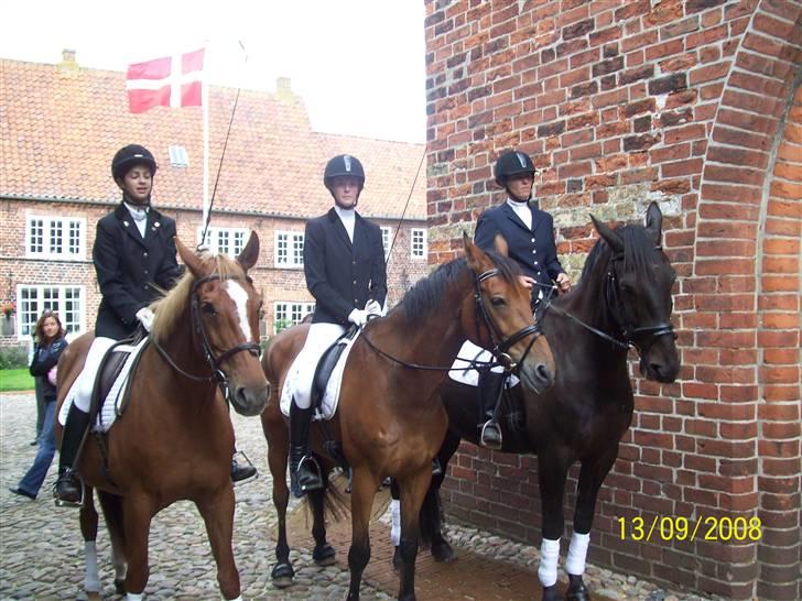Espalier ved Jane og Troels´ bryllup - Maja, Gyrithe Og Ioanna billede 2