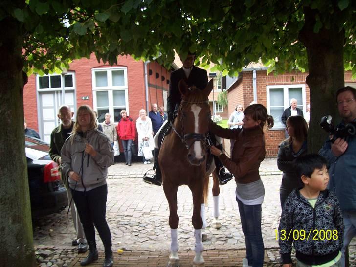 Espalier ved Jane og Troels´ bryllup - Lakrids hesten(Brudens hest) billede 5