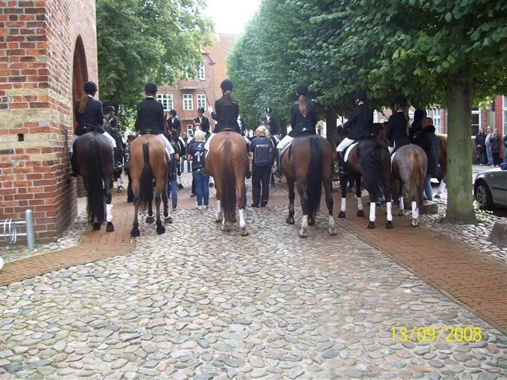 Espalier ved Jane og Troels´ bryllup billede 6