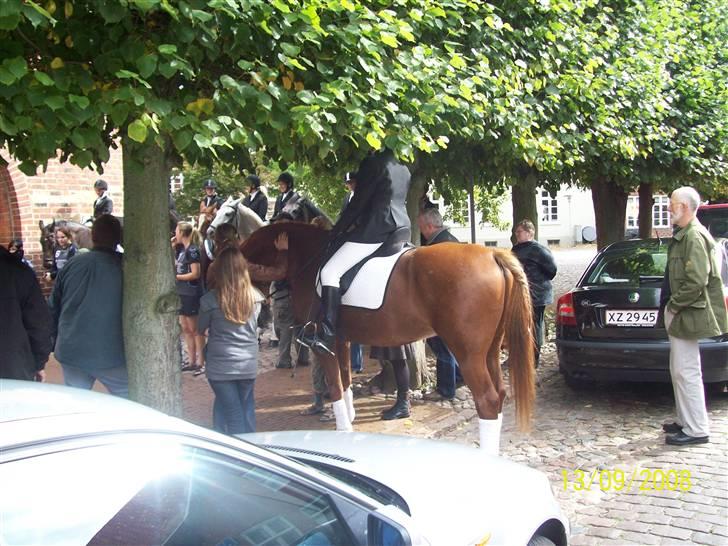 Espalier ved Jane og Troels´ bryllup - Lakridshesten billede 7