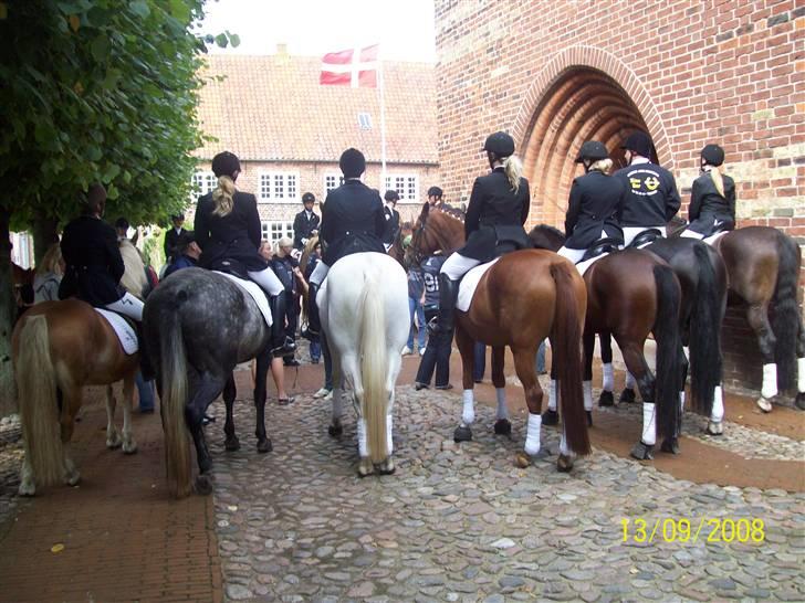 Espalier ved Jane og Troels´ bryllup billede 8