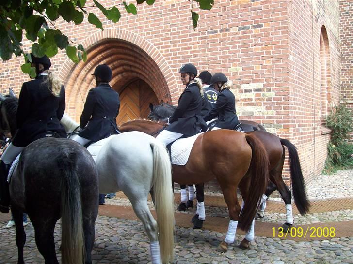 Espalier ved Jane og Troels´ bryllup billede 9