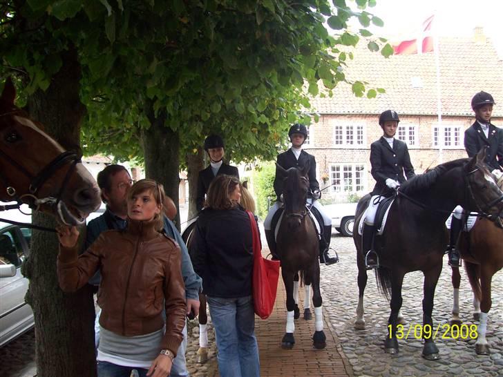 Espalier ved Jane og Troels´ bryllup billede 11