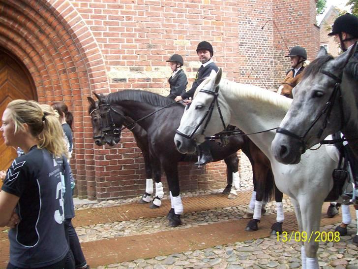 Espalier ved Jane og Troels´ bryllup billede 13