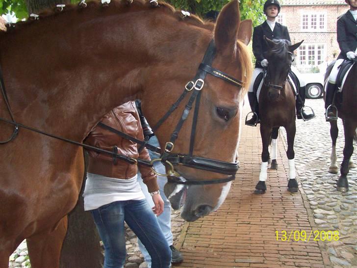 Espalier ved Jane og Troels´ bryllup billede 15