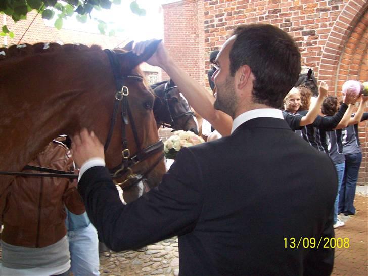 Espalier ved Jane og Troels´ bryllup billede 18