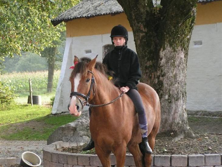 {{currentPhoto.altText}} billede {{currentPhoto.number}}