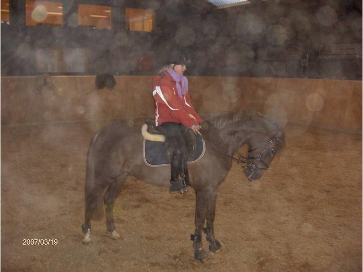 {{currentPhoto.altText}} billede {{currentPhoto.number}}