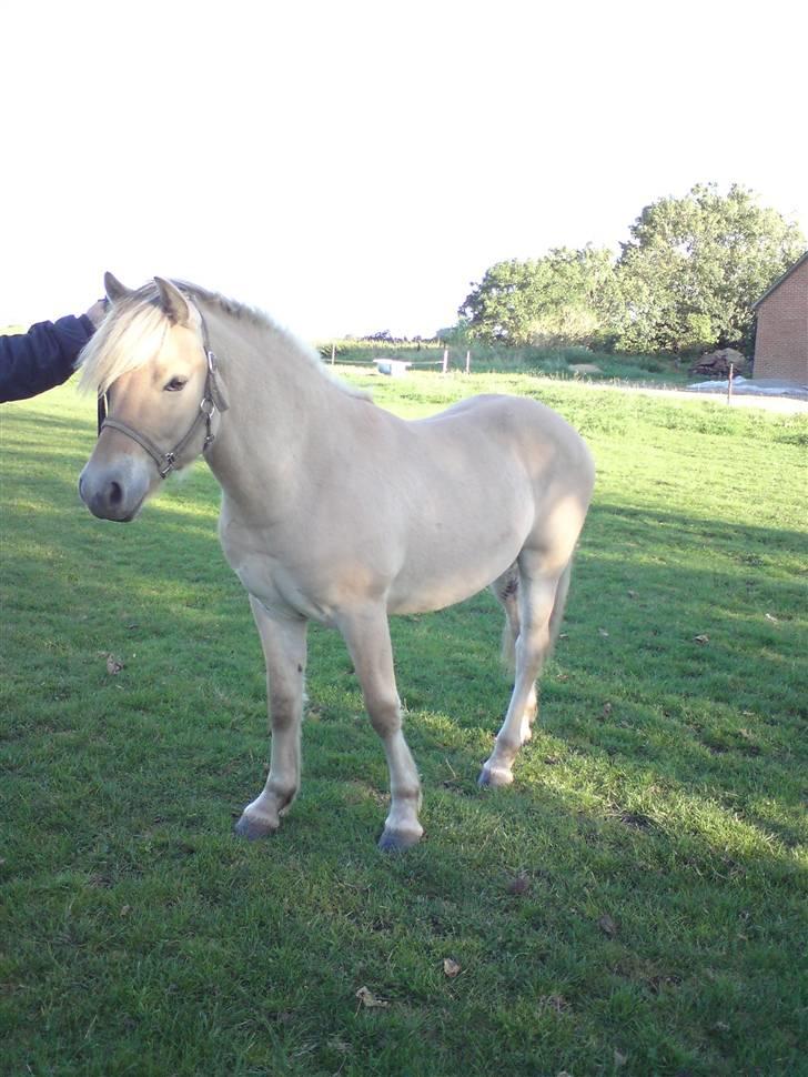 Morten .. Lille nussede hovede! - Nusser....... Er han ikk fin! <3... billede 14