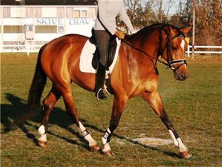 {{currentPhoto.altText}} billede {{currentPhoto.number}}