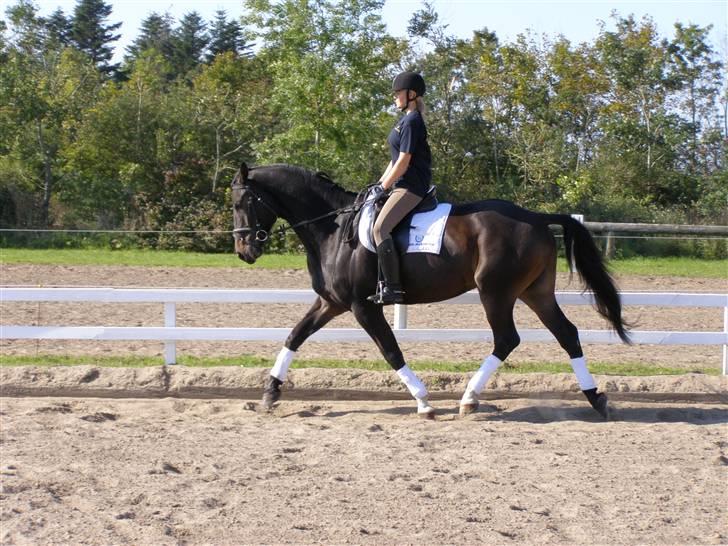 Billeder fra mit arbejde på stald sakstrup. billede 1