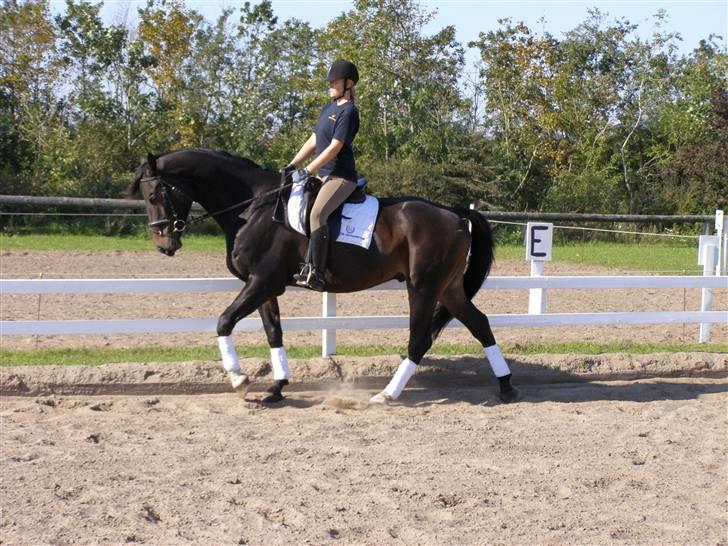 Billeder fra mit arbejde på stald sakstrup. billede 2