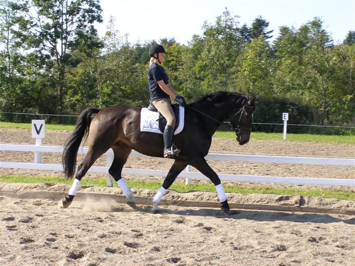 Billeder fra mit arbejde på stald sakstrup. billede 3