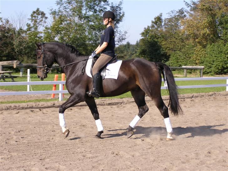 Billeder fra mit arbejde på stald sakstrup. billede 4