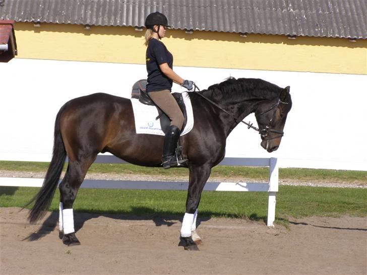 Billeder fra mit arbejde på stald sakstrup. billede 5