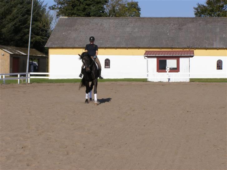 Billeder fra mit arbejde på stald sakstrup. billede 6