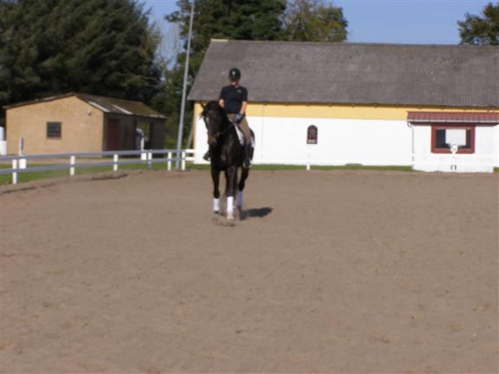 Billeder fra mit arbejde på stald sakstrup. billede 7