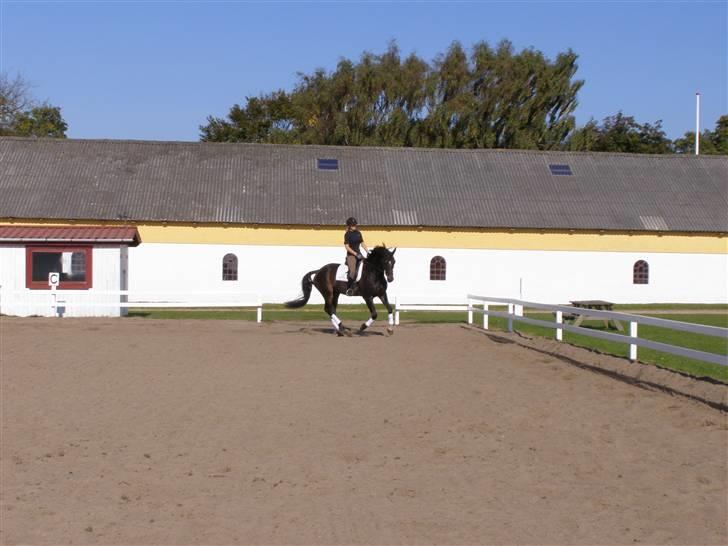 Billeder fra mit arbejde på stald sakstrup. billede 8