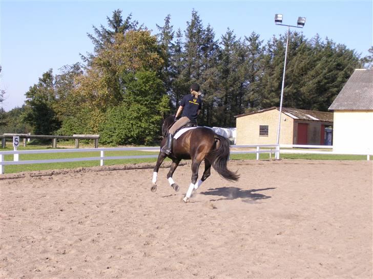 Billeder fra mit arbejde på stald sakstrup. billede 9