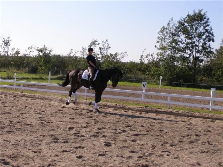 Billeder fra mit arbejde på stald sakstrup. billede 10