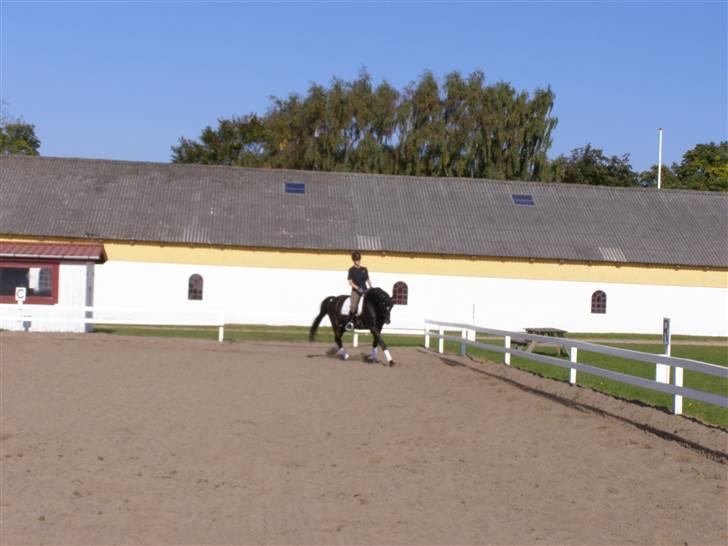 Billeder fra mit arbejde på stald sakstrup. billede 11